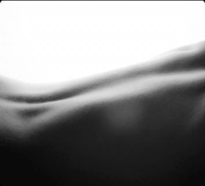 alma-harmony-2